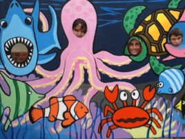 under the sea