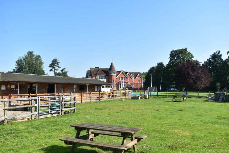 image of open area with horse in the background
