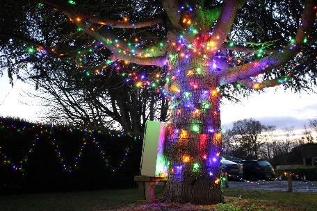Tree with lights