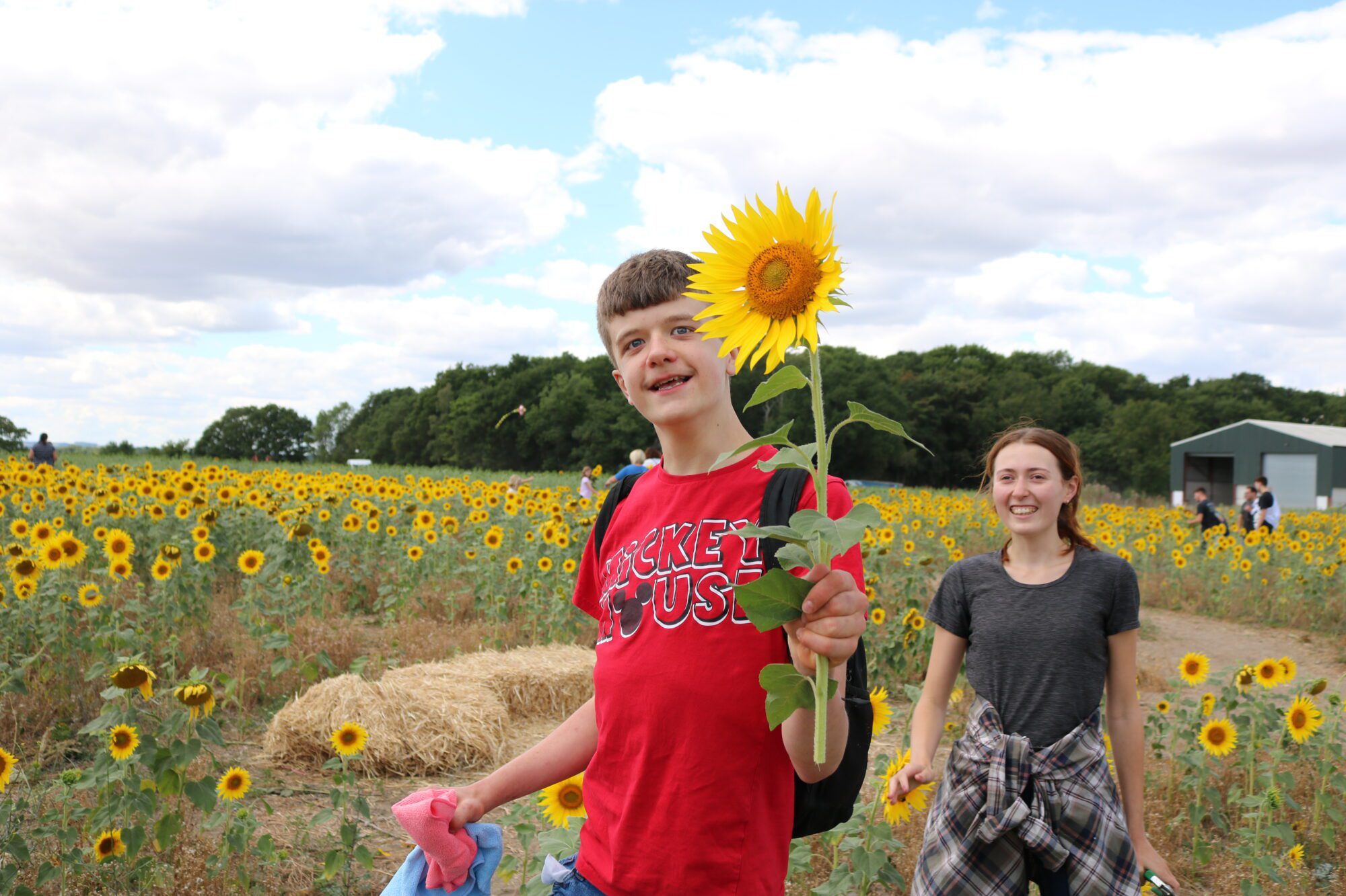 happy student holding a sunflower